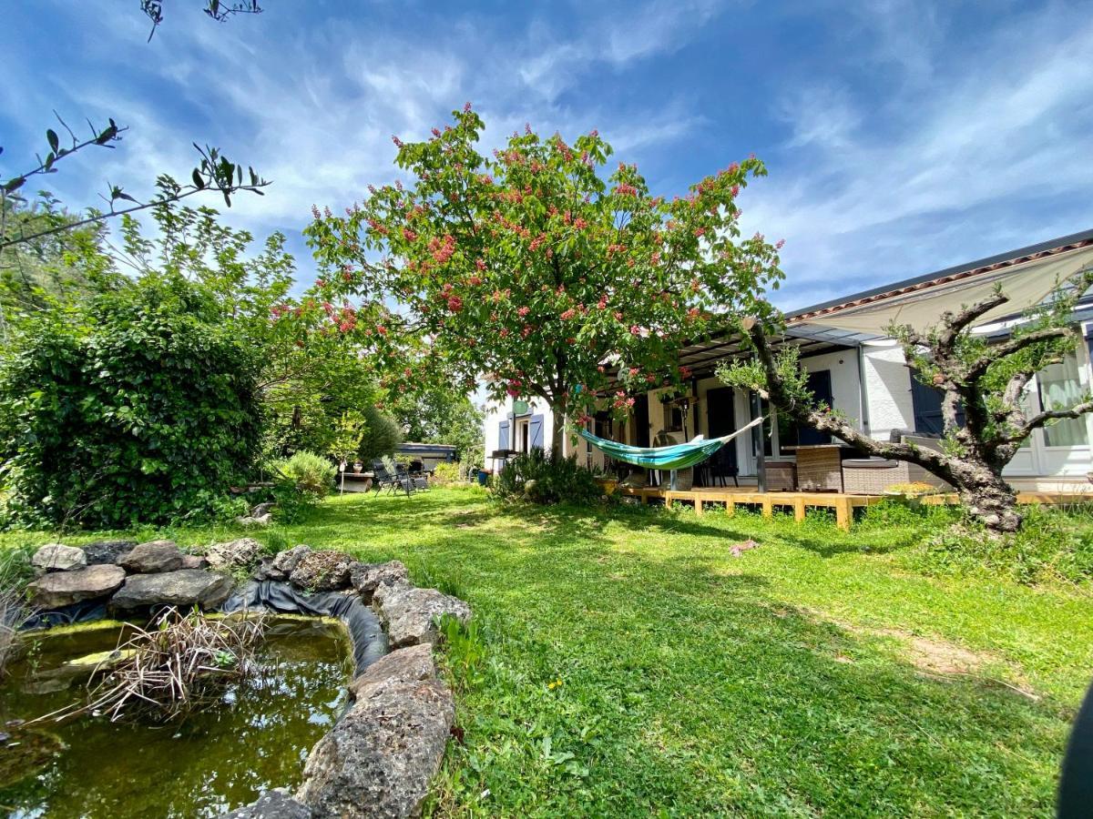 Chambres D'Hotes Le Mas Du Bijou Bleu Puget-sur Argens Ngoại thất bức ảnh