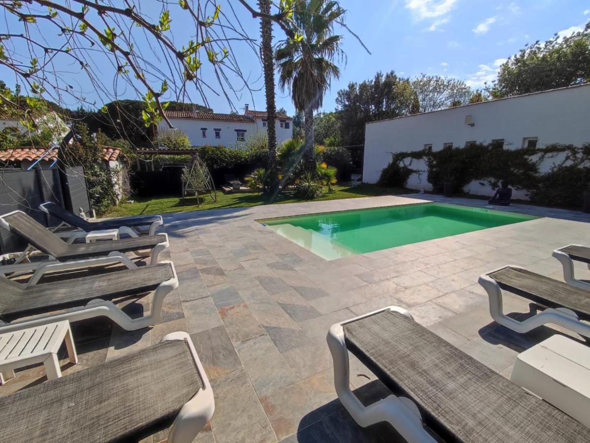 Chambres D'Hotes Le Mas Du Bijou Bleu Puget-sur Argens Ngoại thất bức ảnh