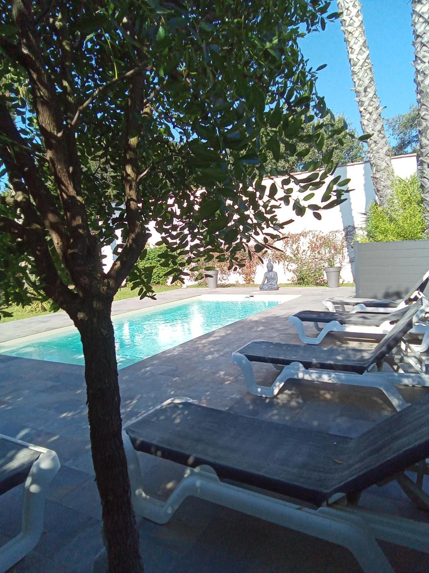 Chambres D'Hotes Le Mas Du Bijou Bleu Puget-sur Argens Ngoại thất bức ảnh