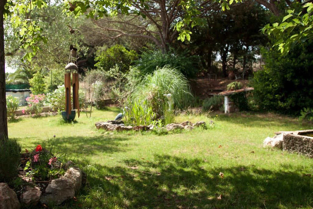 Chambres D'Hotes Le Mas Du Bijou Bleu Puget-sur Argens Ngoại thất bức ảnh